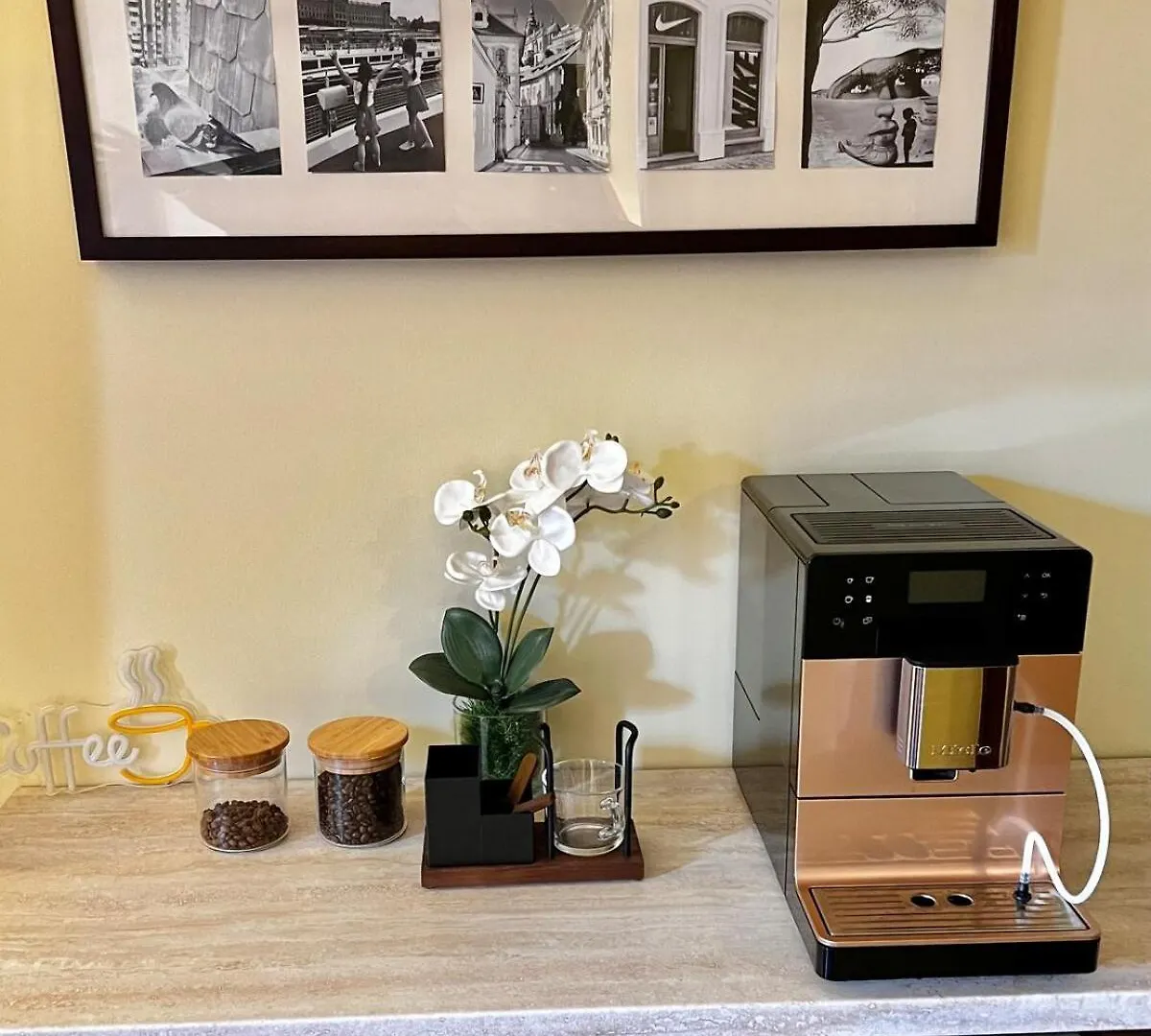 The Crown Apartment 프라하